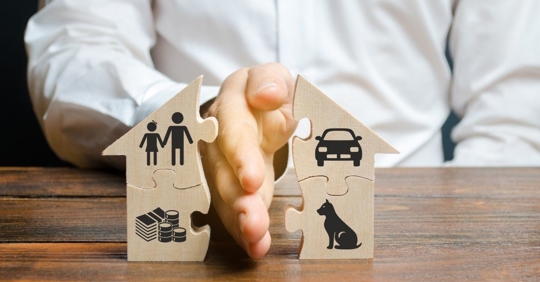 A man chopping a miniature house in half. One half has an image of two people as well as other items, and the other half has an animal and a vehicle